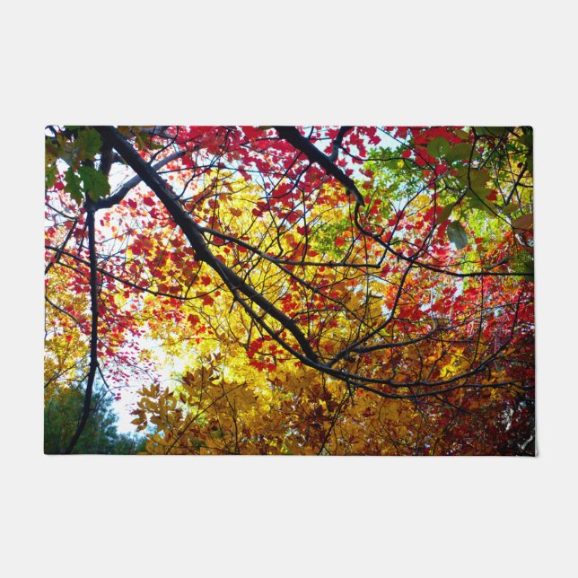 Herbstausgänge am Waldenteich Fußmatte (Vorderseite)