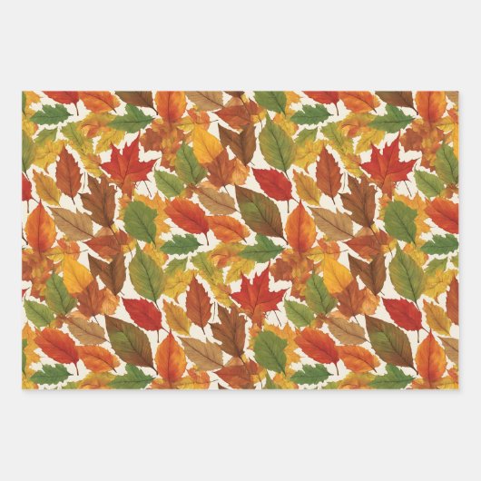 Herbstausgänge Herbstsaison Natur Gemustert Hübsch Geschenkpapier Set (Vorderseite 2)