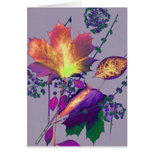 Herbstausgänge in Lilac