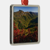 Herbstaussicht der Linville Schlucht oft als die Silbernes Ornament (Rechts)