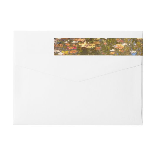 Herbstausstiege und Streams-Reflektion bei Greenbe (Rückseite)