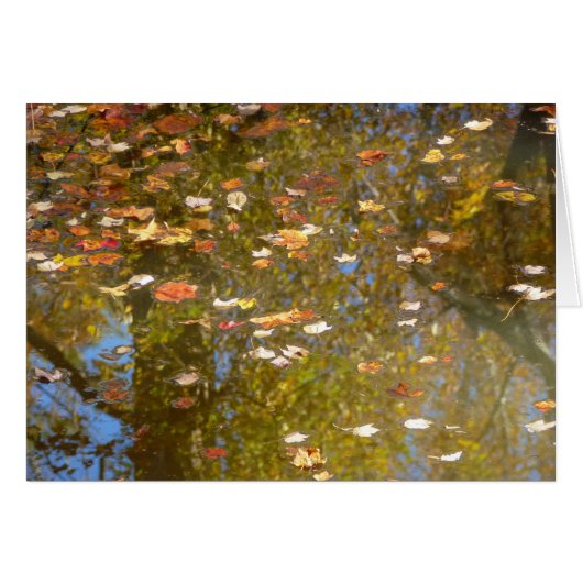 Herbstausstiege und Streams-Reflektion bei Greenbe (Vorderseite (Horizontal))