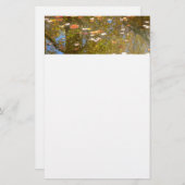 Herbstausstiege und Streams-Reflektion bei Greenbe Briefpapier (Vorne/Hinten)
