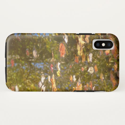 Herbstausstiege und Streams-Reflektion bei Greenbe Case-Mate iPhone Hülle (Rückseite (Horizontal))
