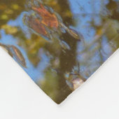 Herbstausstiege und Streams-Reflektion bei Greenbe Fleecedecke (Ecke)