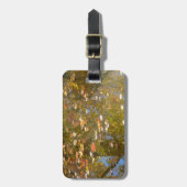 Herbstausstiege und Streams-Reflektion bei Greenbe Gepäckanhänger (Vorderseite vertikal)