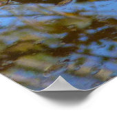 Herbstausstiege und Streams-Reflektion bei Greenbe Poster (Ecke)