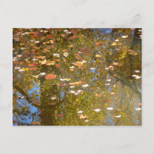 Herbstausstiege und Streams-Reflektion bei Greenbe Postkarte