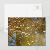 Herbstausstiege und Streams-Reflektion bei Greenbe Postkarte (Vorne/Hinten)