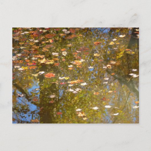 Herbstausstiege und Streams-Reflektion bei Greenbe Postkarte (Vorderseite)