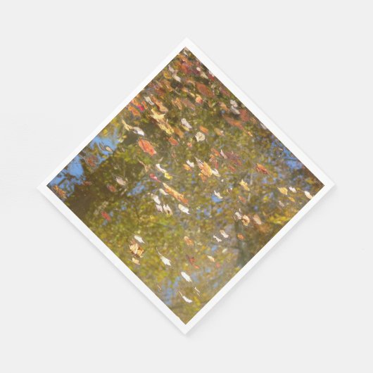 Herbstausstiege und Streams-Reflektion bei Greenbe Serviette (Ecke)