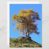 Herbstbaum (Vorne/Hinten)