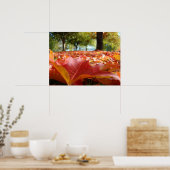 Herbstbaum-Blätter Poster Rot Orange Blätter Kunst (Küche)