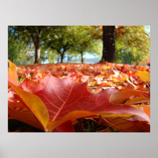 Herbstbaum-Blätter Poster Rot Orange Blätter Kunst (Vorne)