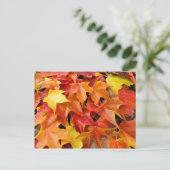 Herbstbaum-Blätter Postkarten Farbige Herbstblätte (Stehend Vorderseite)