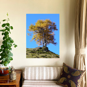 Herbstbaum Fotodruck
