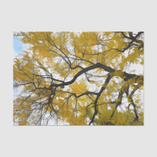Herbstbaum Gelbe Blätter Blauer Himmel Seidenpapier