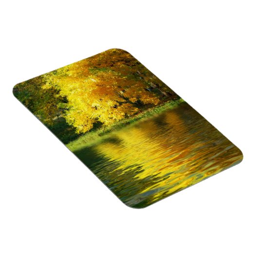 Herbstbaum im Wald mit Reflektion Magnet (Rechte Seite)