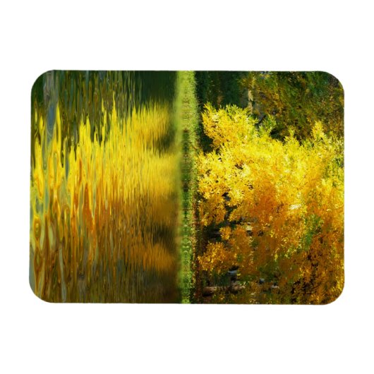 Herbstbaum im Wald mit Reflektion Magnet (Horizontal)