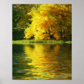 Herbstbaum im Wald mit Reflektion Poster (Vorne)