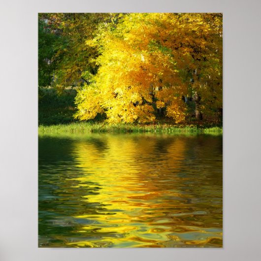Herbstbaum im Wald mit Reflektion Poster (Vorne)