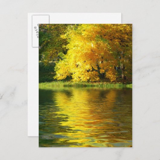 Herbstbaum im Wald mit Reflektion Postkarte (Vorne/Hinten)