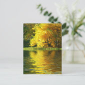 Herbstbaum im Wald mit Reflektion Postkarte (Stehend Vorderseite)