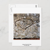 Herbstbaum im Wind von Schiele Egon Postkarte (Vorne/Hinten)