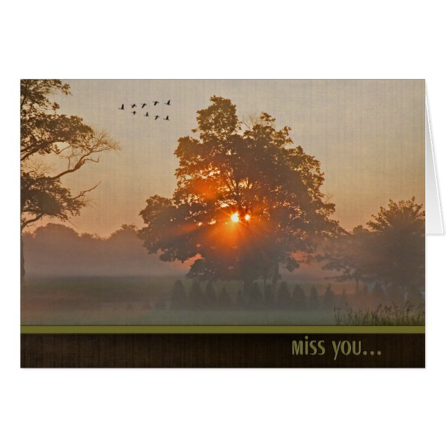 Herbstbaum in instabilem Sonnenlicht (Vorderseite (Horizontal))