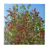 Herbstbaum Kardinal Birds Keramik Tile Fliese (Vorderseite)
