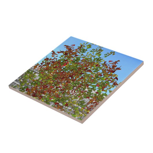 Herbstbaum Kardinal Birds Keramik Tile Fliese (Seite)