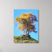 Herbstbaum Leinwanddruck (Vorderseite)