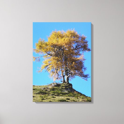 Herbstbaum Leinwanddruck (Vorderseite)