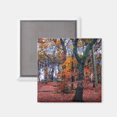 Herbstbaum Magnet (Vorderseite/Rückseite)