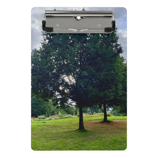 Herbstbaum Mini Klemmbrett (Vorderseite)