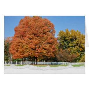Herbstbaum mit Torn Edge Border