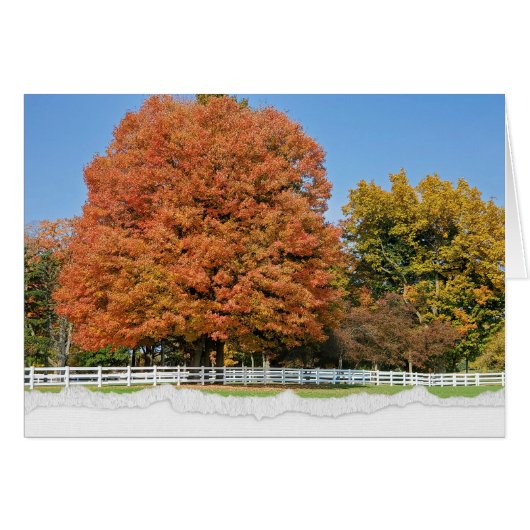 Herbstbaum mit Torn Edge Border (Vorderseite (Horizontal))