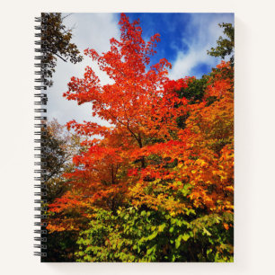 Herbstbaum Notizblock