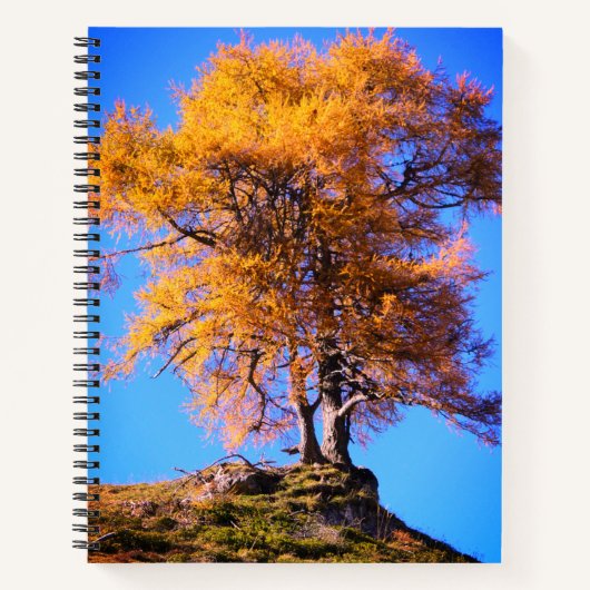Herbstbaum Notizblock (Vorderseite)