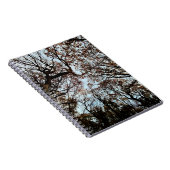 Herbstbaum Notizblock (Rechte Seite)