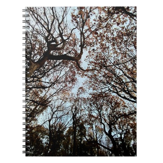 Herbstbaum Notizblock (Vorderseite)