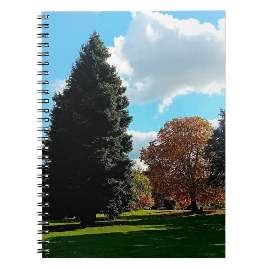 Herbstbaum Notizblock (Vorderseite)