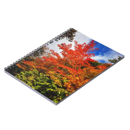 Herbstbaum Notizblock (Linke Seite)