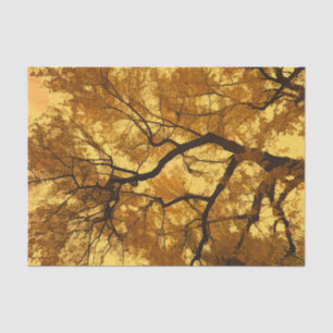 Herbstbaum Orange Blätter Gelber Himmel Seidenpapier
