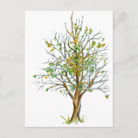 Herbstbaum Pen und Tinte Zeichnend Wasserfarbe Postkarte (Vorderseite)