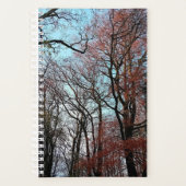 Herbstbaum Planer (Vorderseite)