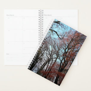 Herbstbaum Planer