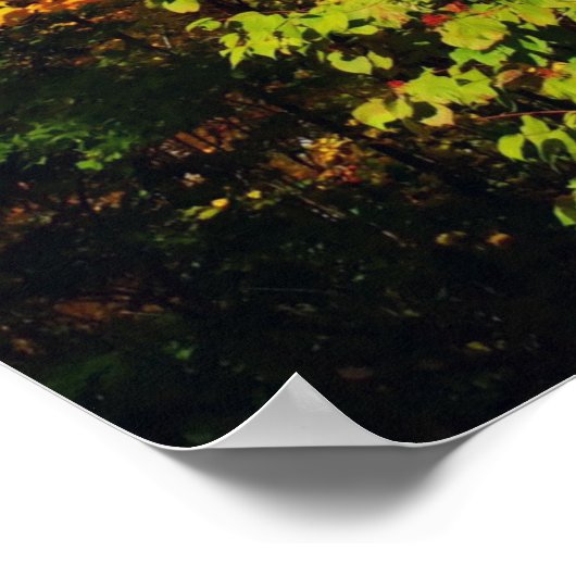 Herbstbaum Poster (Ecke)