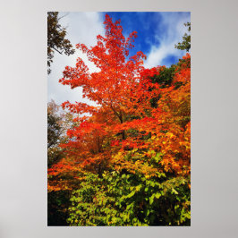 Herbstbaum Poster