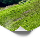 Herbstbaum Poster (Ecke)